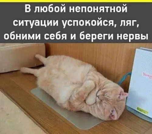 Смешная картинка №390782