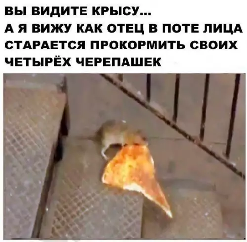 Смешная картинка №373024