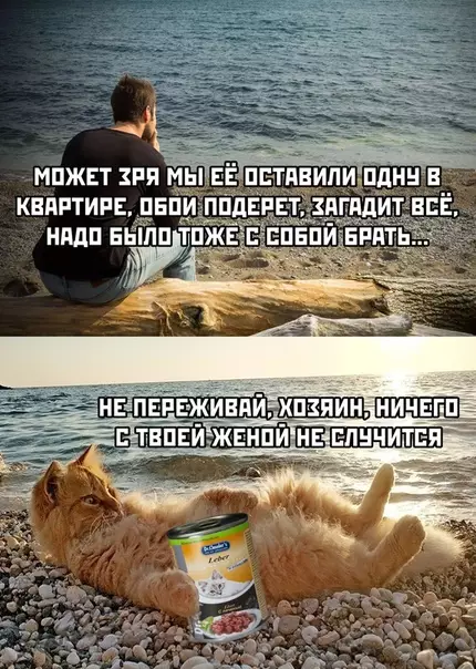 Смешная картинка №374381