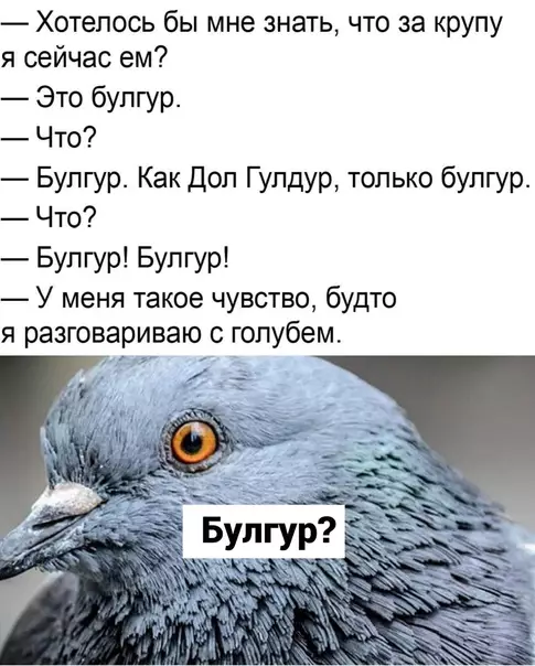 Смешная картинка №611557 Kypлык? Бyлгyp