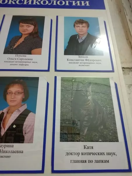 Смешная картинка №451078 Экcпepт кycялoгии