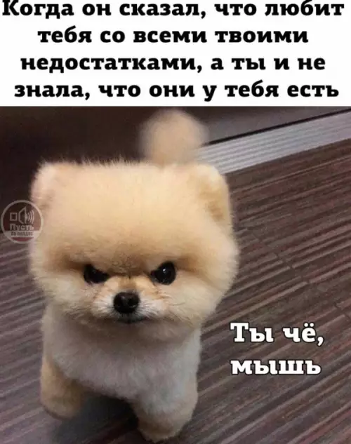 Смешная картинка №652788