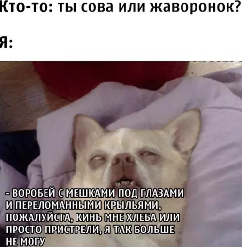 Смешная картинка №515097