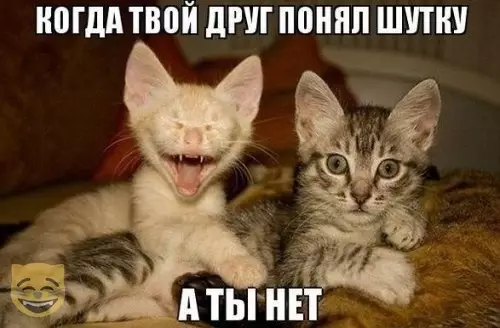 Смешная картинка №364876 #приколы #картинки #мемы ?