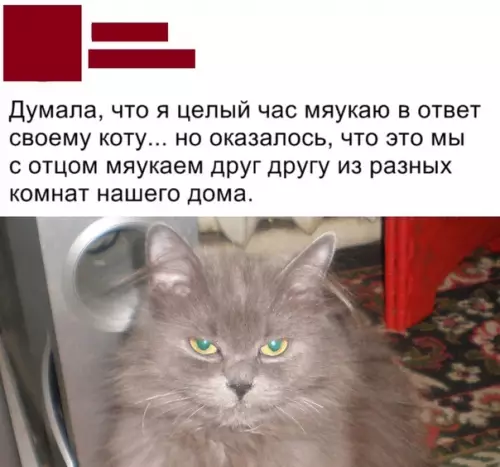 Смешная картинка №447171 Кот тем временем вызвал психиатра