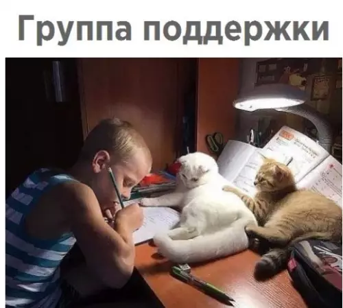 Смешная картинка №242440
