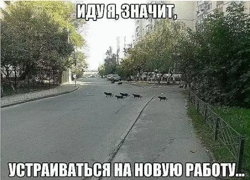 Смешная картинка №392756 Ахахах))