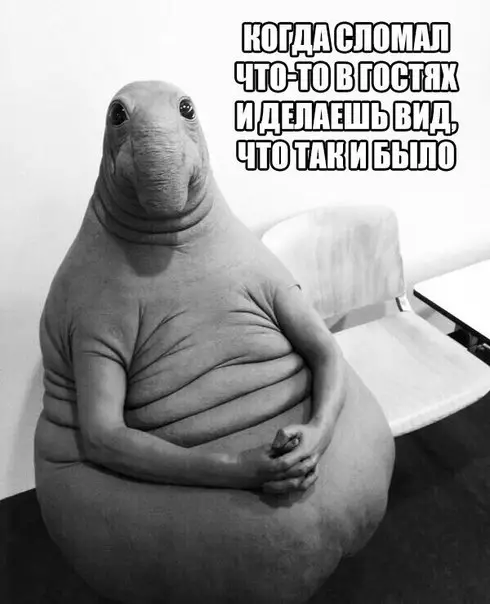 Смешная картинка №257761