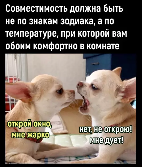 Смешная картинка №774701