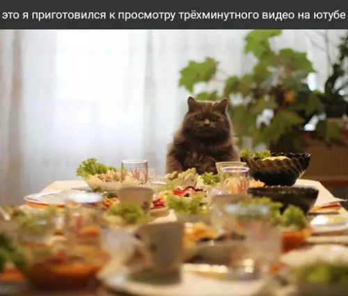 Смешная картинка №654410