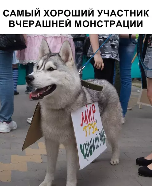 Смешная картинка №352995