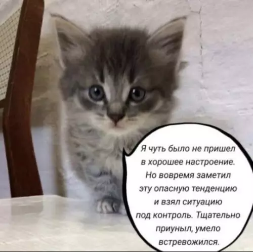 Смешная картинка №762617