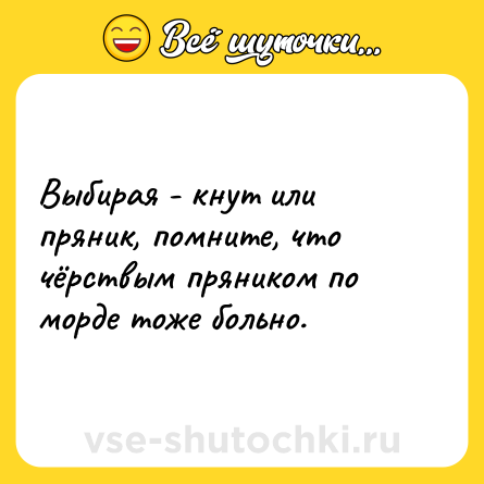 Шутка: Выбирая - кнут или пряник, помните, что чёрствым пряником по морде тоже больно.