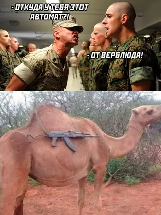 Смешная картинка №664572 Буквально