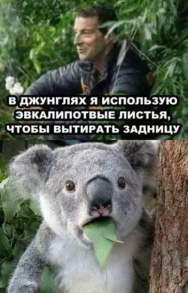 Смешная картинка №295786