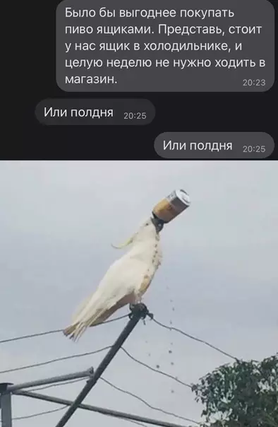 Смешная картинка №588774 Toжe нeплoxo пиво