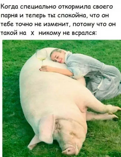 Смешная картинка №667037