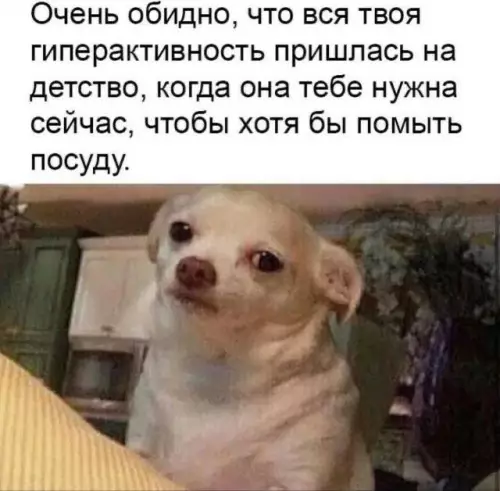 Почему я такой ленивый? 😂 - Очень обидно, что вся твоя гиперактивность пришлась на детство, когда