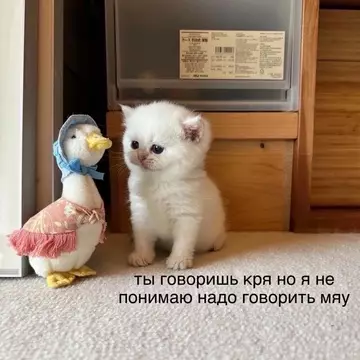 Смешная картинка №734609 Нипанятна