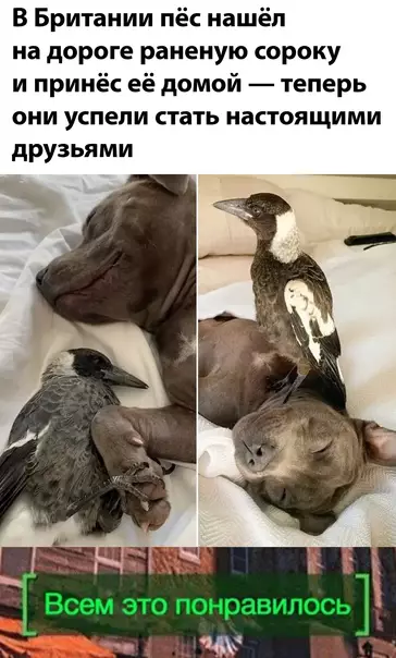Смешная картинка №571688