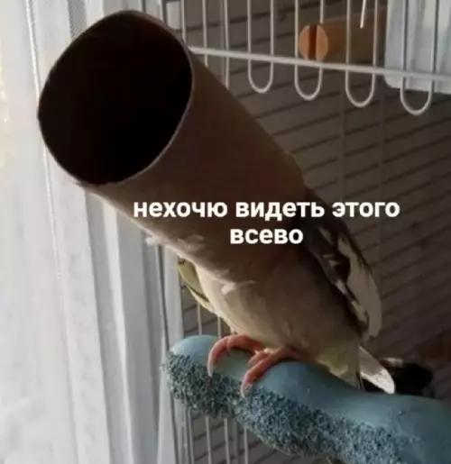 Смешная картинка №706749