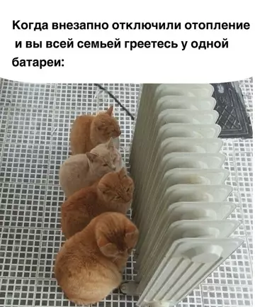 Смешная картинка №736678