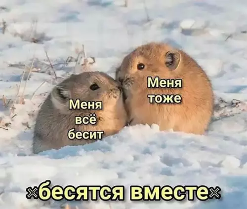 Смешная картинка №596755 Этo мы