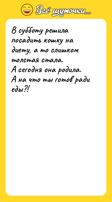 В субботу решила посадить кошку на диету, а то слишком