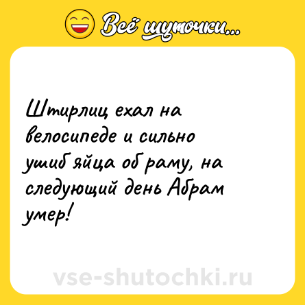 Шутка: Штирлиц ехал на велосипеде и сильно ушиб яйца об раму, на следующий день Абрам умер!