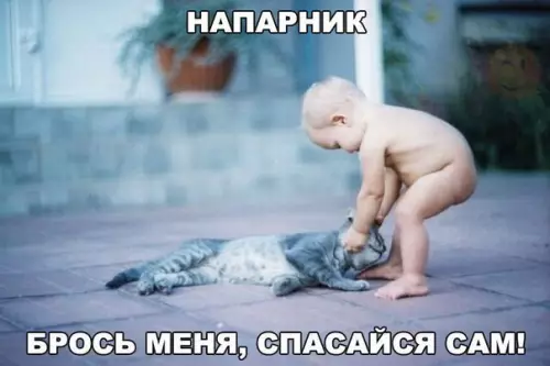 Смешная картинка №235127 кот, дети
