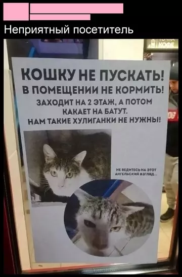 Смешная картинка №753138