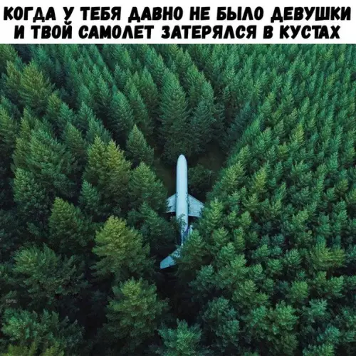 Смешная картинка №222873
