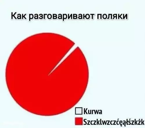 Смешная картинка №822325 Какое-то шипение Поляки