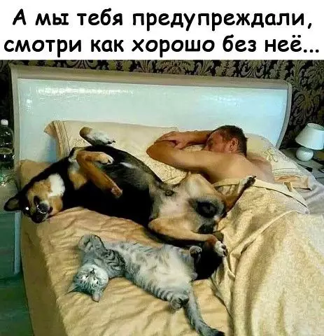 Смешная картинка №372557