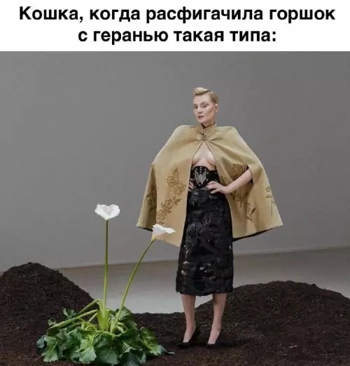 Смешная картинка №686719