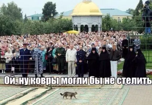 Смешная картинка №180275