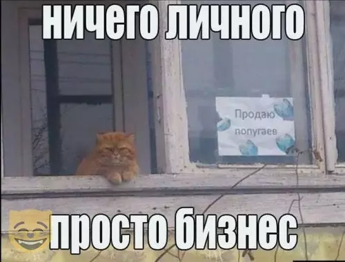 Смешная картинка №365633 #приколы #картинки #мемы ?