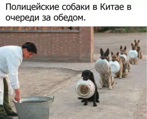 Смешная картинка №197146