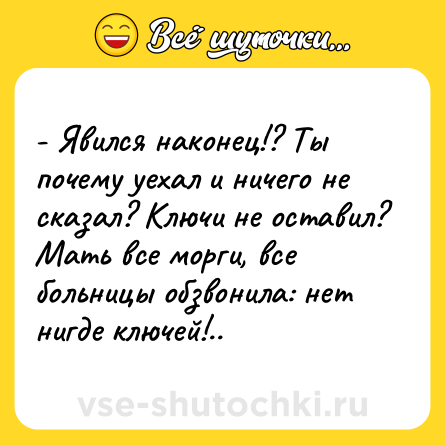 Шутка: - Явился наконец!? Ты почему уехал и ничего не сказал? Ключи не оставил? Мать все морги, все больницы обзвонила: нет нигде ключей!..