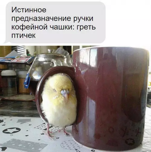 Смешная картинка №714071