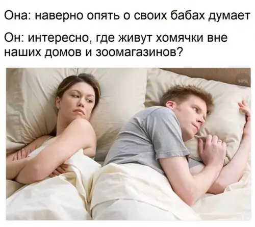 Смешная картинка №237175