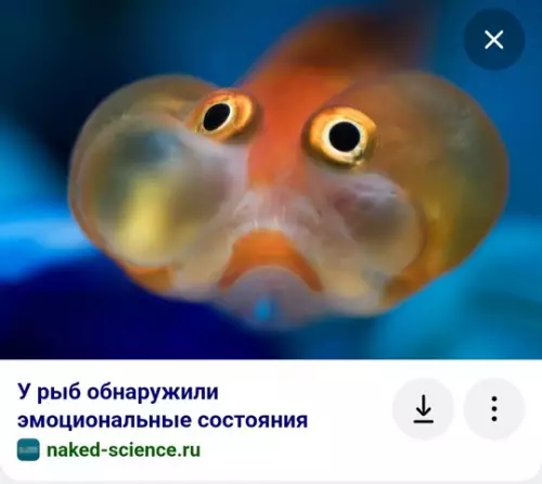 Смешная картинка №733920 Настроение не очень 