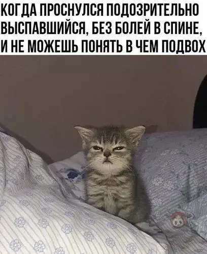 Смешная картинка №546503 Тогда ты по-любому проспал ?
