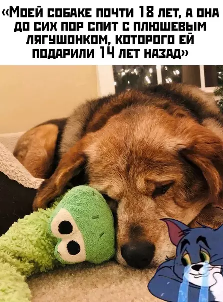 Смешная картинка №410020