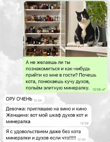 Смешная картинка №749555 Как заводить друзей после 30 переписка