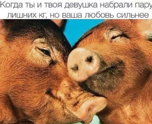 Смешная картинка №562254