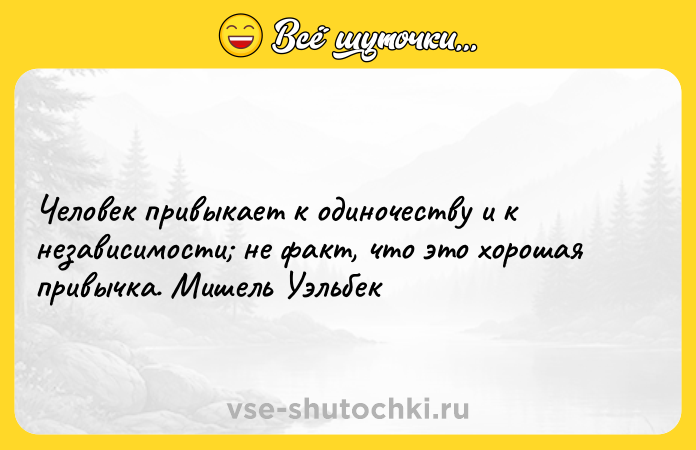 Цитата: Человек привыкает к одиночеству и к независимости не факт, что это хорошая привычка. Мишель Уэльбек