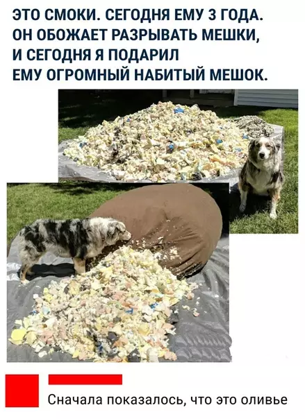 Смешная картинка №291598