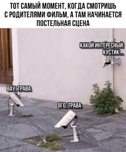 Смешная картинка №301360