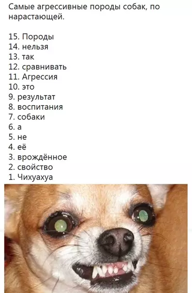 Смешная картинка №544213 Концентрация злобы и ярости зашкаливает